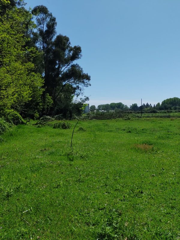 PARCELAS CAMINO A CATO 1