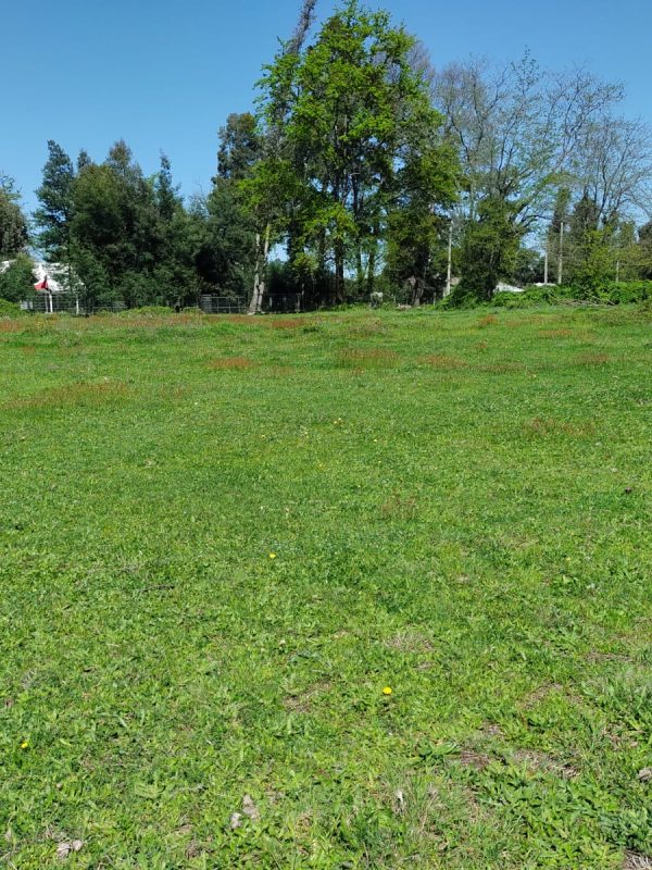 PARCELAS CAMINO A CATO 2