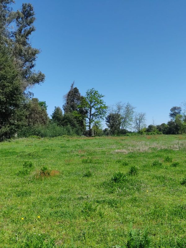 PARCELAS CAMINO A CATO 3