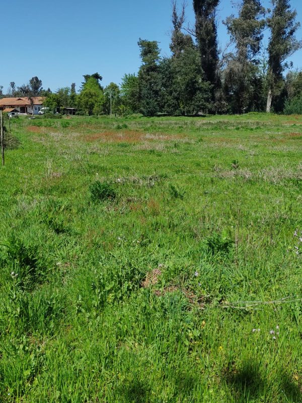 PARCELAS CAMINO A CATO 5