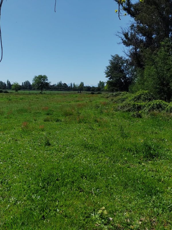 PARCELAS CAMINO A CATO