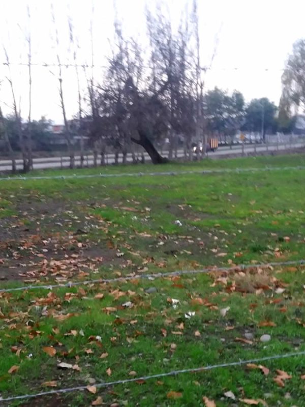 TERRENO CHILLÁN VIEJO